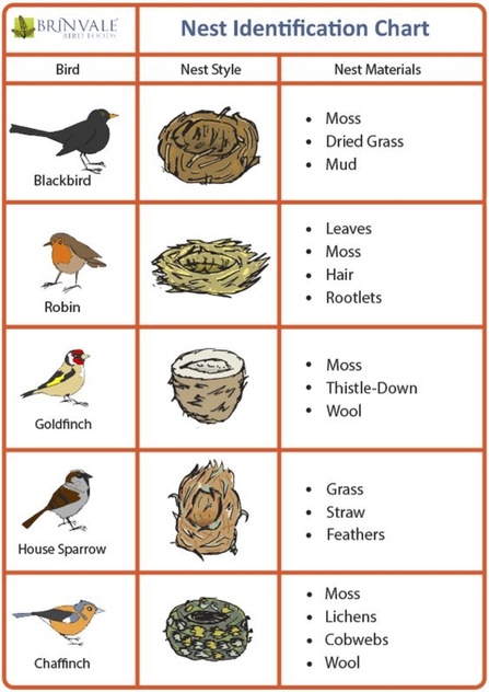 BIRD NEST IDENTIFICATION CHART