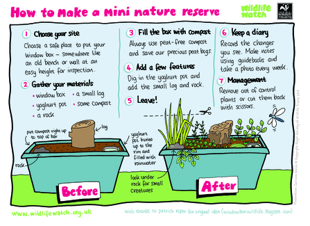 How to make a mini nature reserve sheet