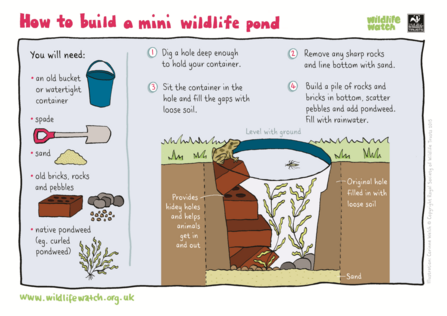 Mini Wildlife Pond 