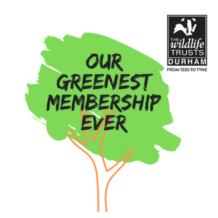 Our Greenest Membership Ever 