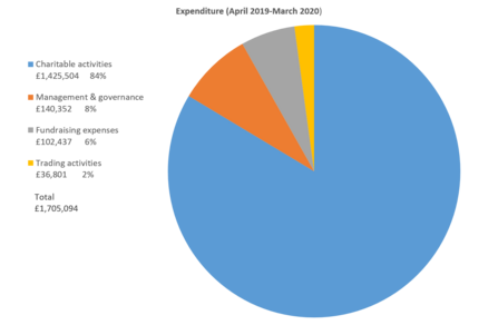 piechart to show trust expenditure 2019 20