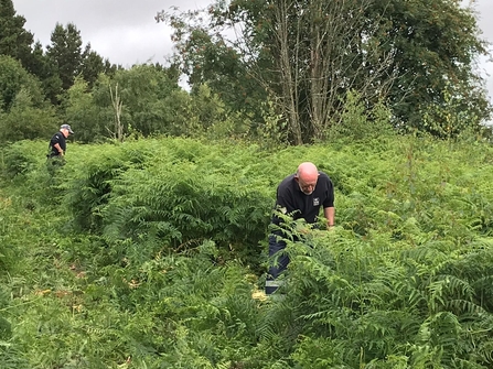 heart of durham volunteers bracken clearing