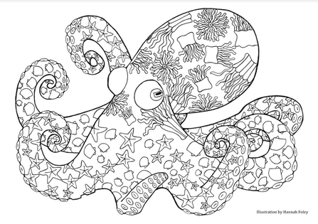 octopus colouring in