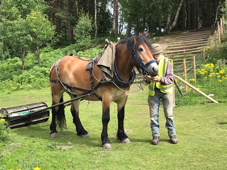 orli bracken rolling 2