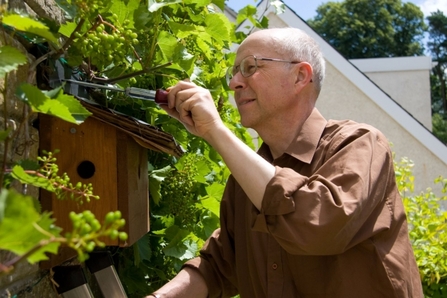 Bird Box being installed in folliage