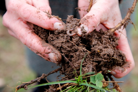 healthy soil and earthworms