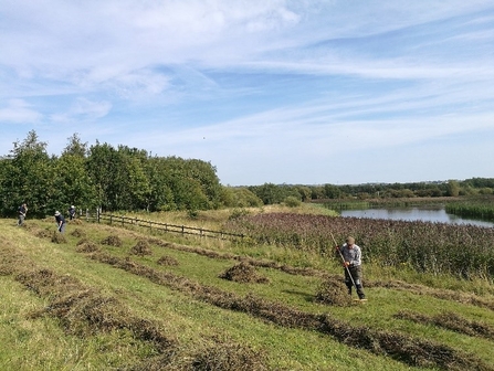 volunteers raking grass 