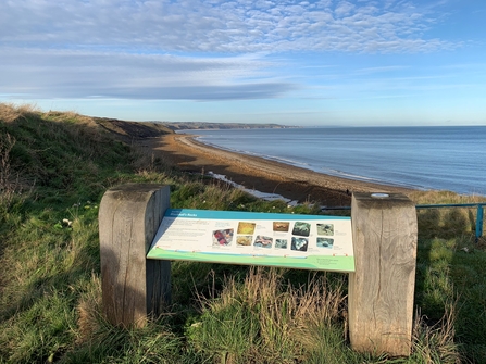 Blackhall Rocks Nature Reserve