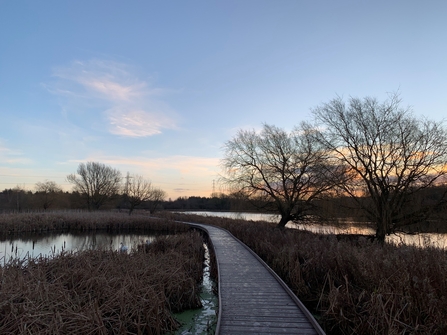 Shibdon Pond Nature Reserve boardwalk