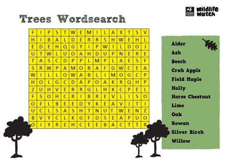 Tree wordsearch