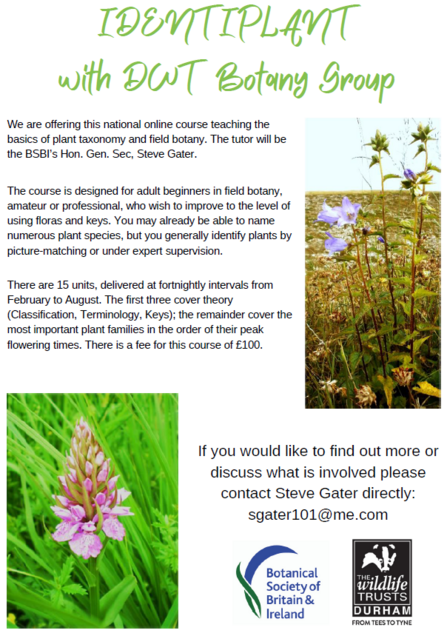DWT botany group identiplant flyer