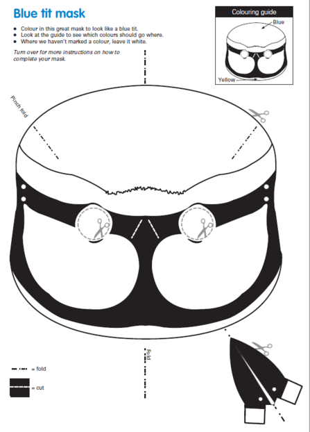 Make a blue tit mask