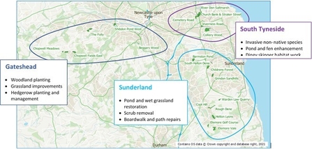 Healing Nature Sites