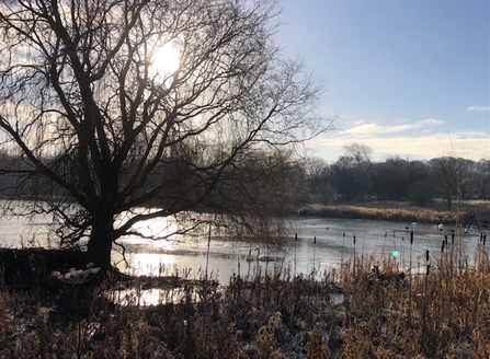 Shibdon pond