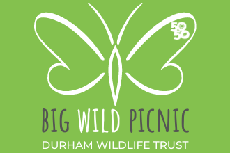 Big Wild Picnic