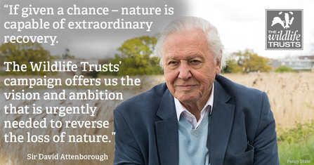 David Attenborough quote 30 by 30