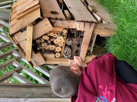 Little boy looking at bug hotel