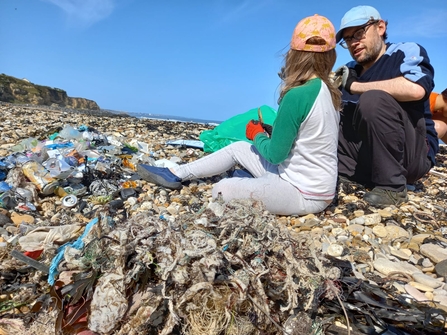 People on beach clearing litter