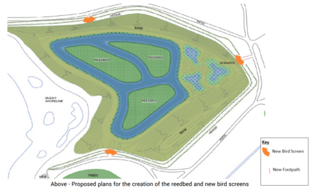 Rainton Meadows Reedbed plans