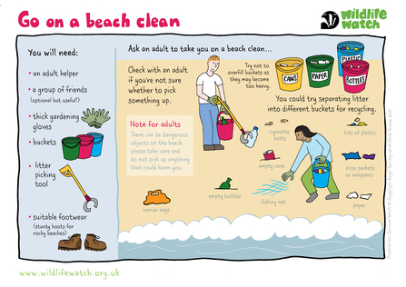 Litter pick activity sheet