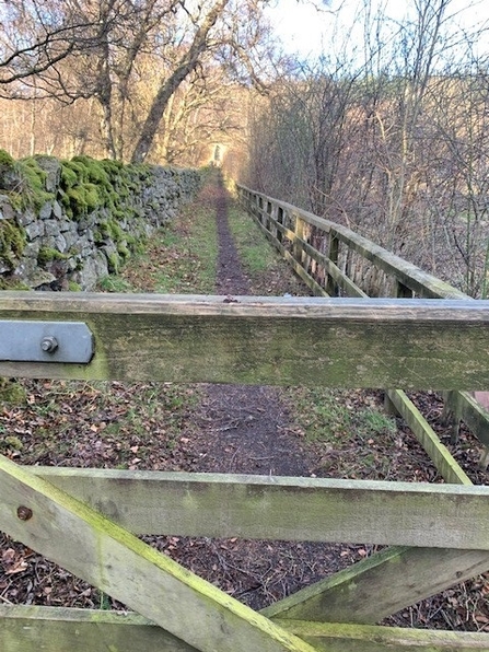 Heart of Durham derwent hide