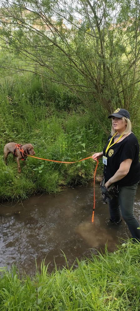 Conservation detection dog, Hattie, and handler, Louise next to stream