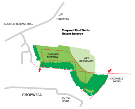 Chopwell East Fields map
