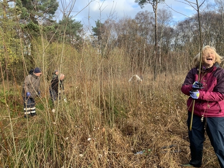 volunteers clearing scrub