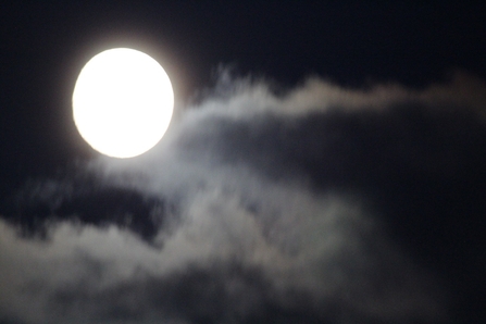 Moon at Seaton Carew beach