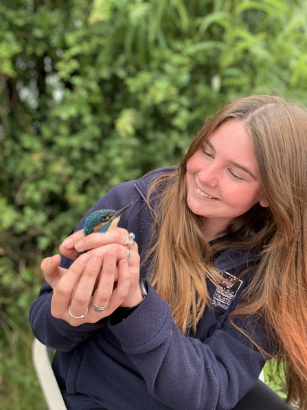 Staff member Mary-Anne holding a kingfisher during bird ringing
