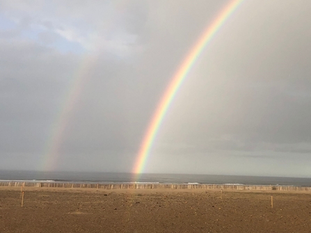 Rainbow over the little terns at Seaton Carew