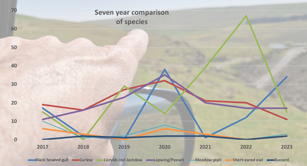 Line chart to show bird count numbers 