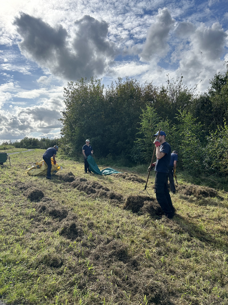 Volunteers raking the wildflower meadow after a cut