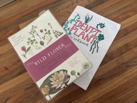 The wildflower key book