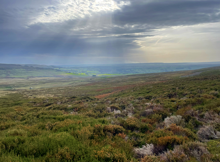 View over moorland with moody sky in background