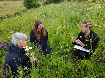 Three people sitting in a meadow in conversation with each other