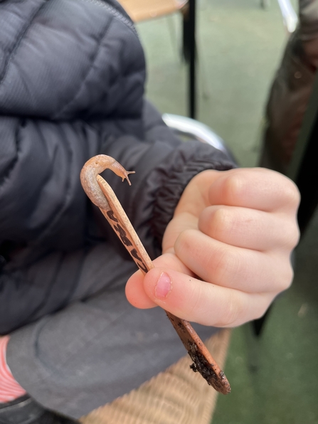 slug on end of stick in child's hand