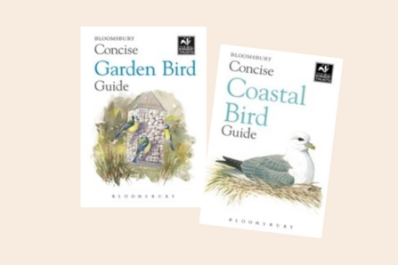Concise guides - garden bird and coastal bird guides