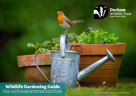 Front cover - autumn wildlife gardening guide