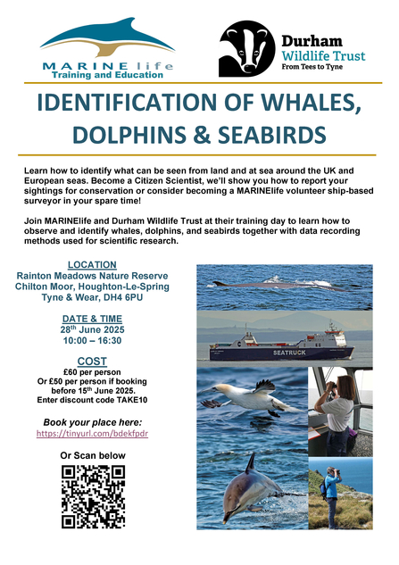 Event poster for marine ID workshop