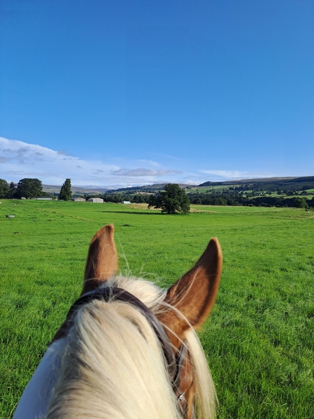View of open countryside from horseback looking over the top of a horse's ears, with blue skies and green fields in distance