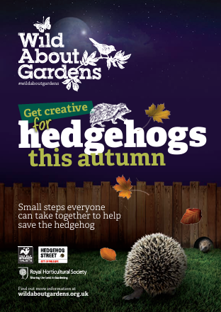 Hedgehog Booklet Front Cover