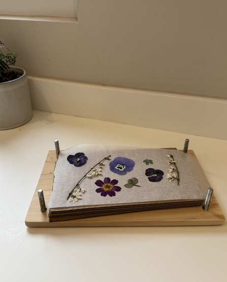 Flowers and stems sitting on brown parchment paper in the middle of a flower press