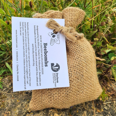 Durham Wildlife Trust Beebombs