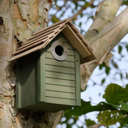 Nest Box - Green