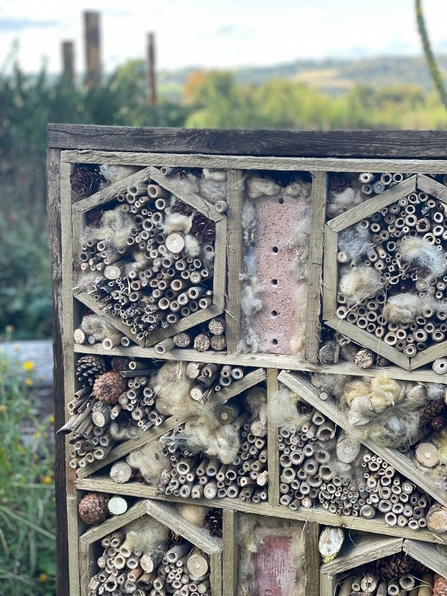 A close up of a bug hotel