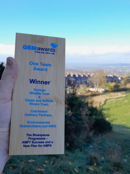 Hand holding a wooden "One Team Award" plaque from the GEM awards, with a scenic residential landscape in the background.