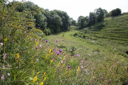 Town Kelloe Bank