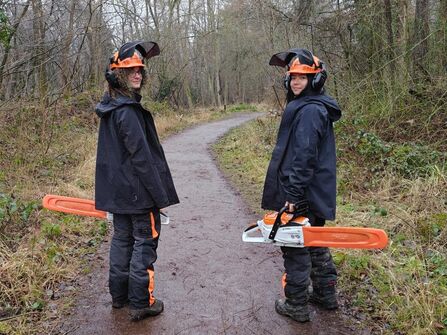 Two people in full protective gear stand in a woodland clearing beside a freshly felled tree, each holding a STIHL chainsaw.