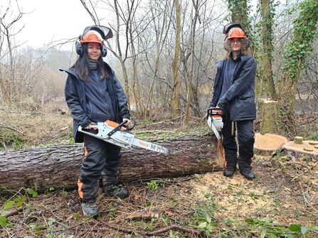 Two forestry workers in full protective gear stand in a woodland clearing beside a freshly felled tree, each holding a STIHL chainsaw.
